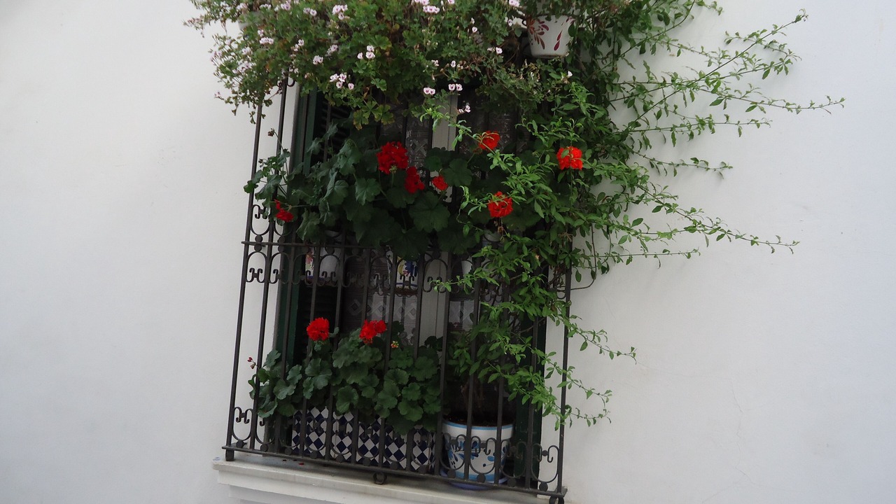 Photo of Outdoor in Sitges Town Center