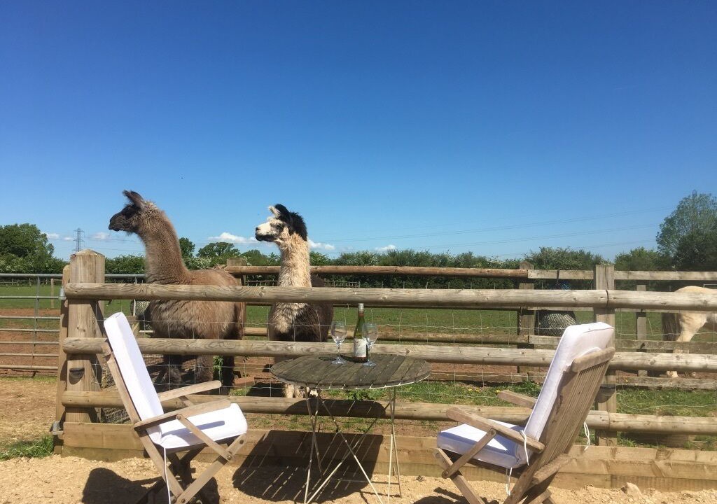 Photo of Outdoor in Coalpit Heath