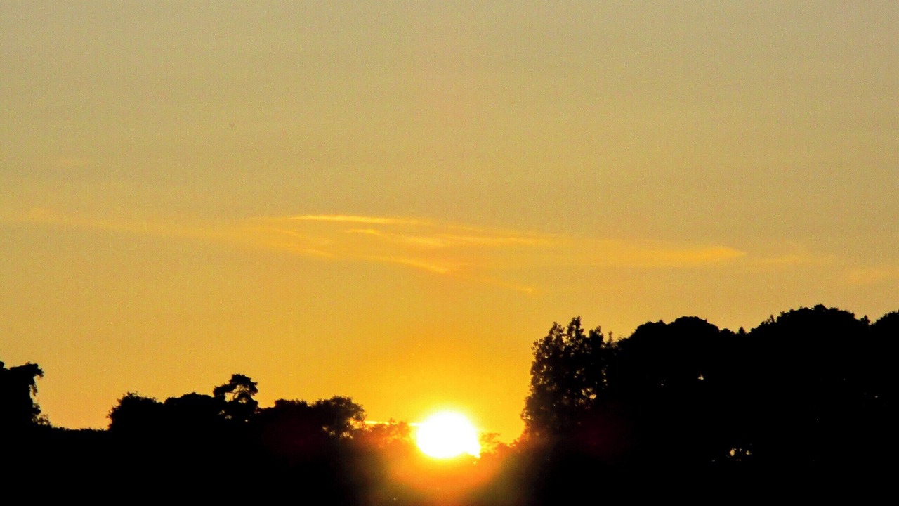 Photo of Others in Chilham