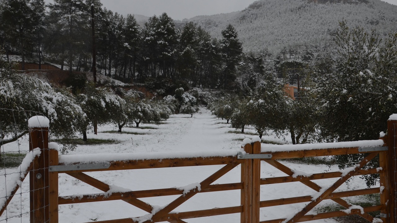 Photo of Outdoor in Pontons