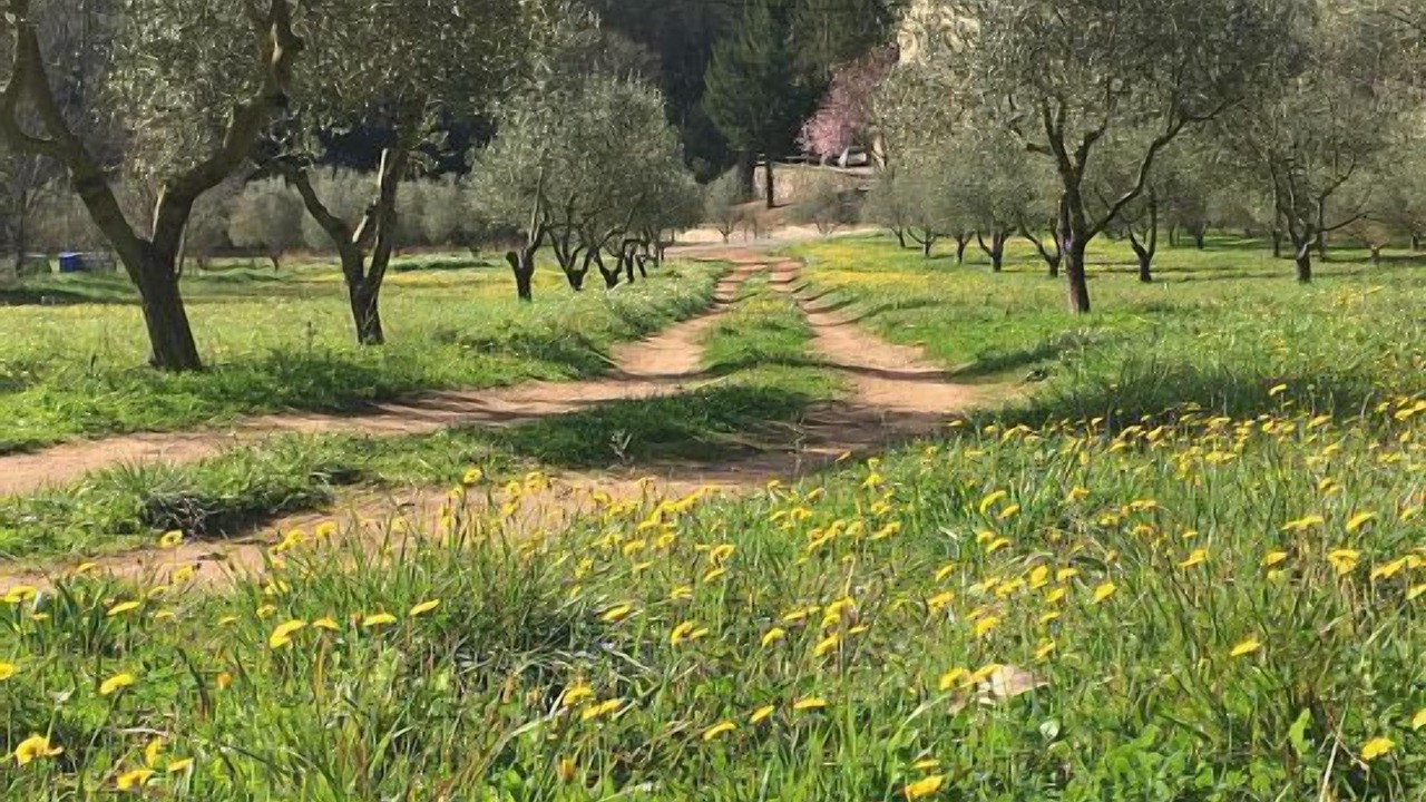 Photo of Outdoor in Pontons