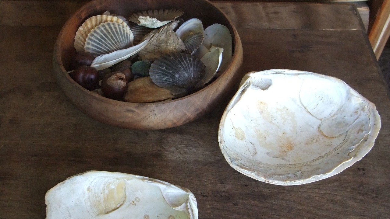 Photo of Others in Beebe Plain