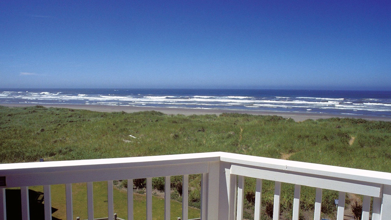 Photo of Outdoor in Ocean Shores