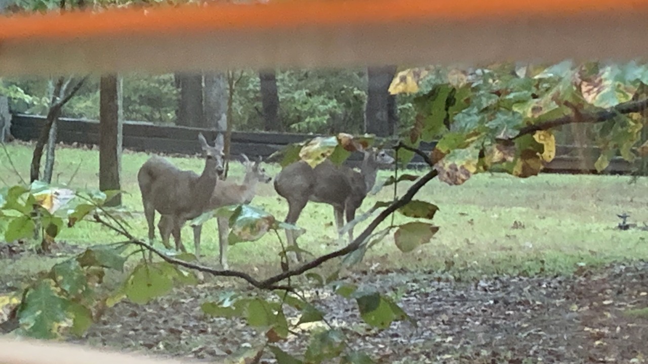 Photo of Others in Whispering Hills