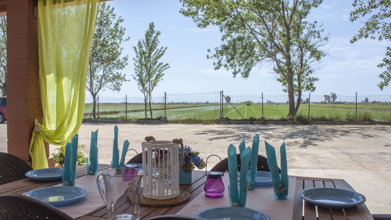 Photo of Outdoor in Deltebre