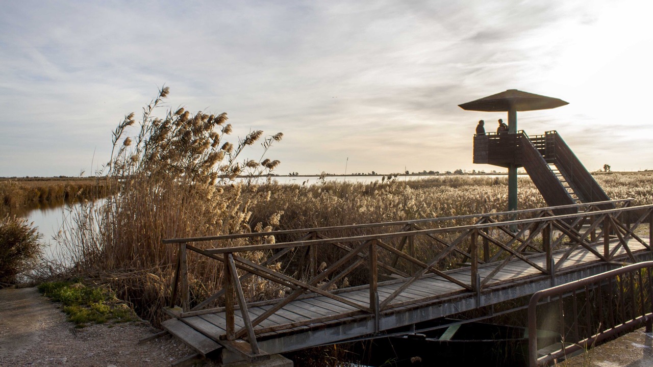 Photo of Outdoor in Deltebre