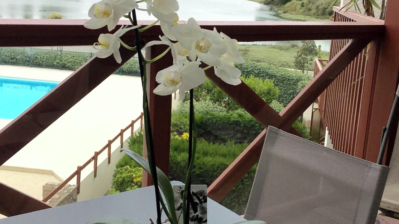 Photo of Patio Balcony in Guerande