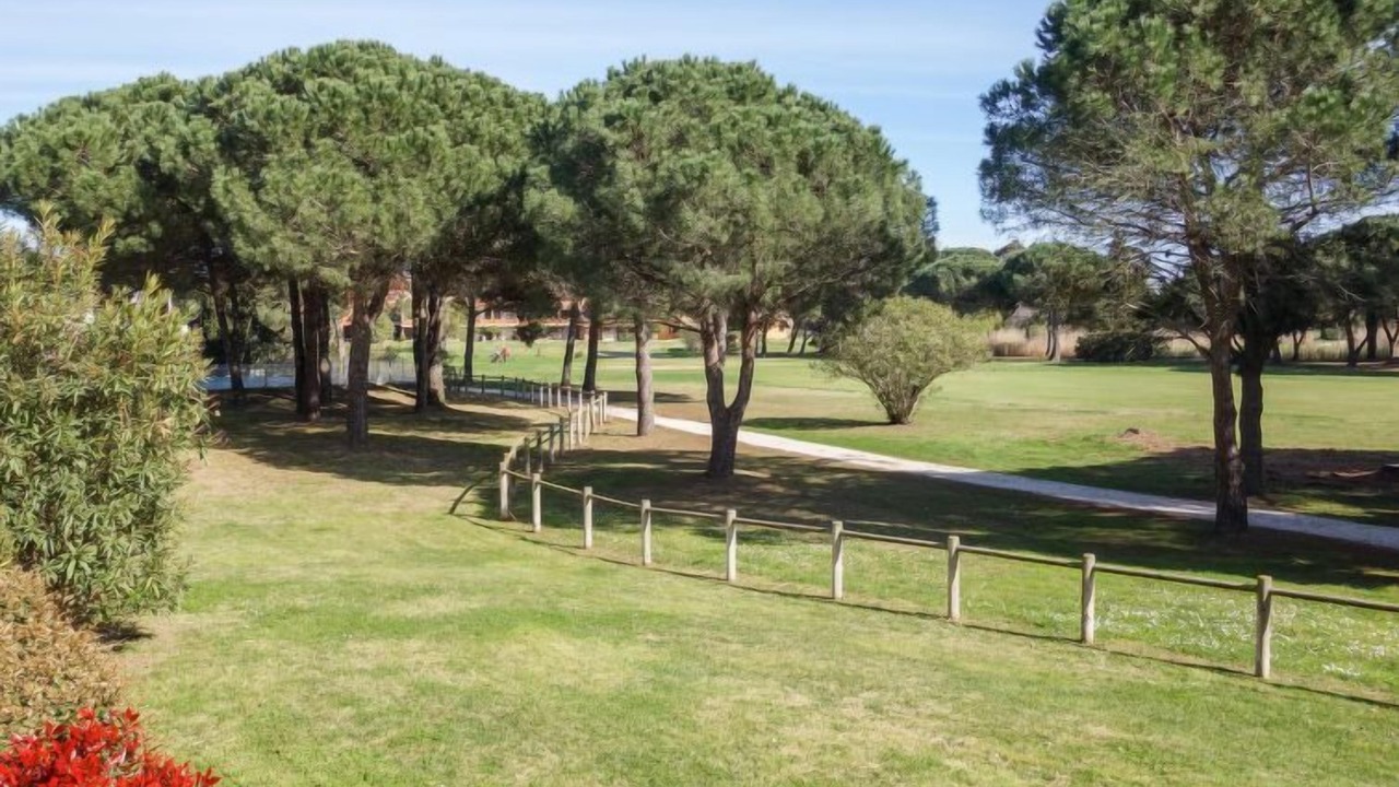 Photo of Others in Saint-Cyprien Plage