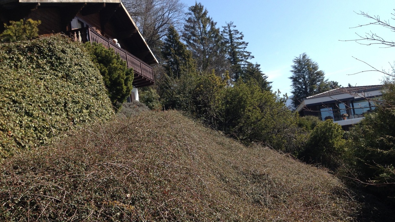 Photo of Outdoor in Jongny