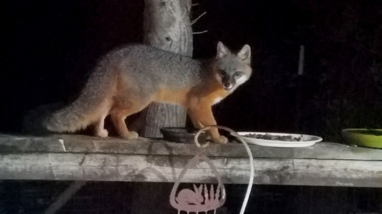 Photo of Others in Colfax