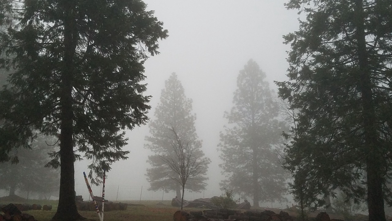 Photo of Others in Colfax