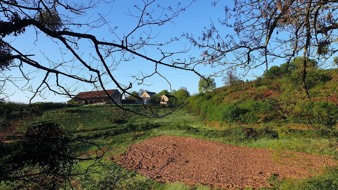 Photo of Others in Grury