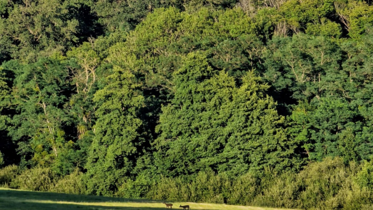 Photo of Others in Grury