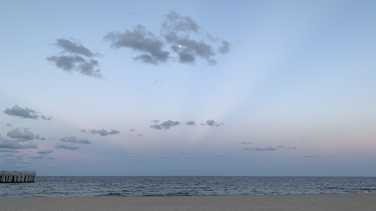 Photo of Others in Pompano Beach