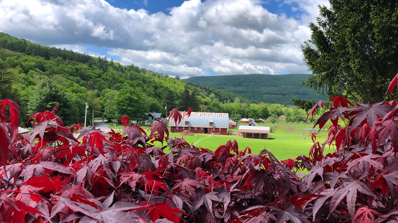 Photo of Outdoor in Town of Denning