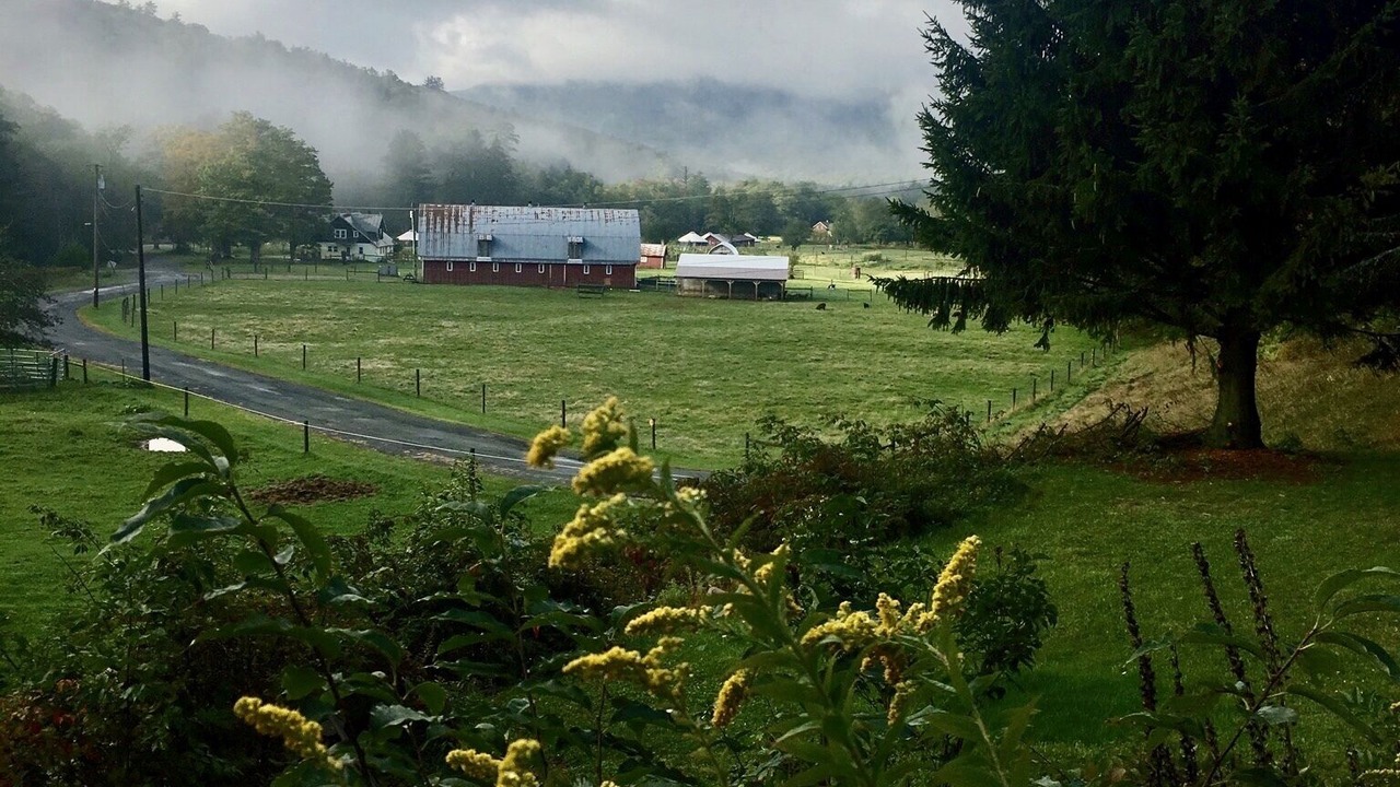 Photo of Others in Town of Denning