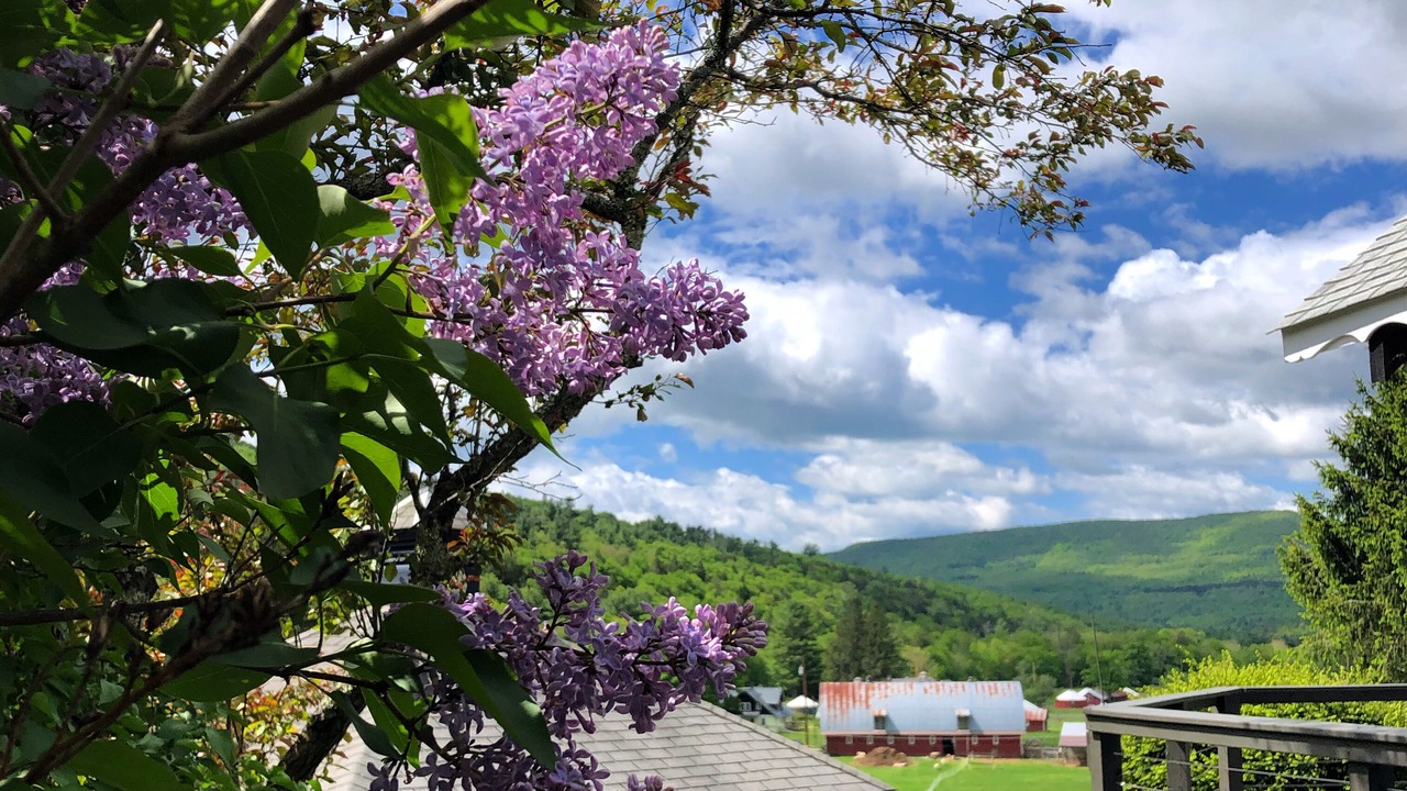 Photo of Outdoor in Town of Denning