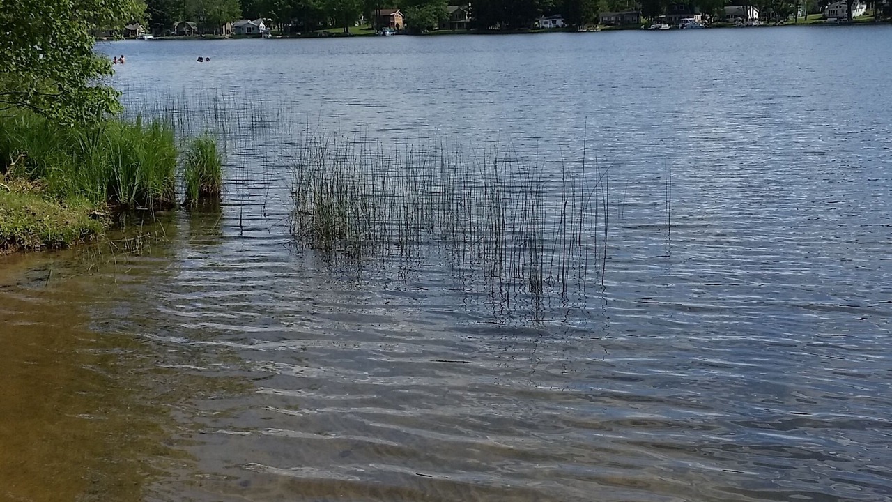 Photo of Others in Lake