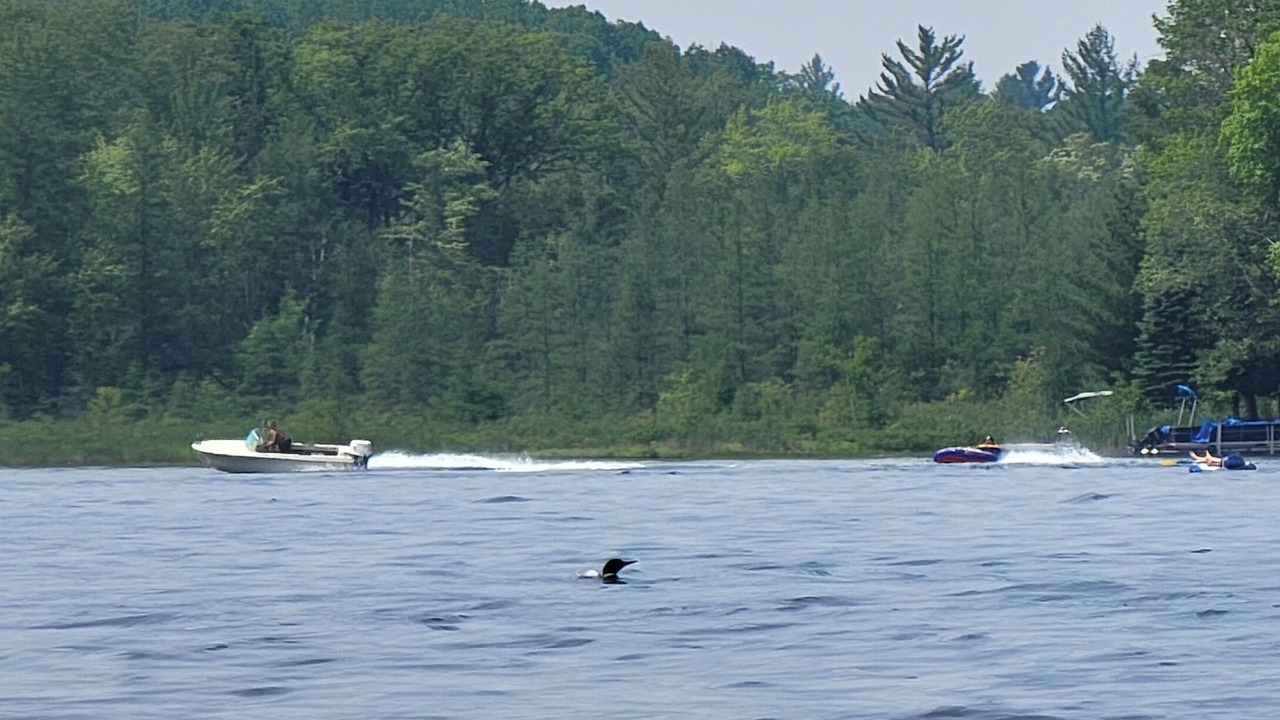 Photo of Others in Lake