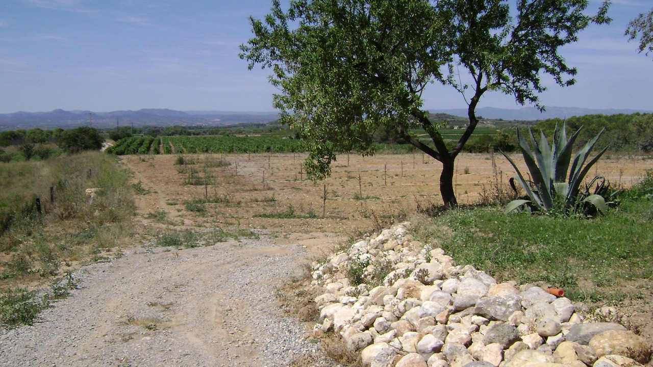 Photo of Outdoor in Montagnac