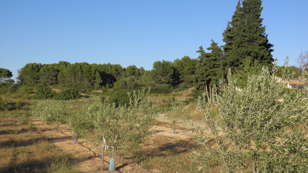 Photo of Outdoor in Montagnac