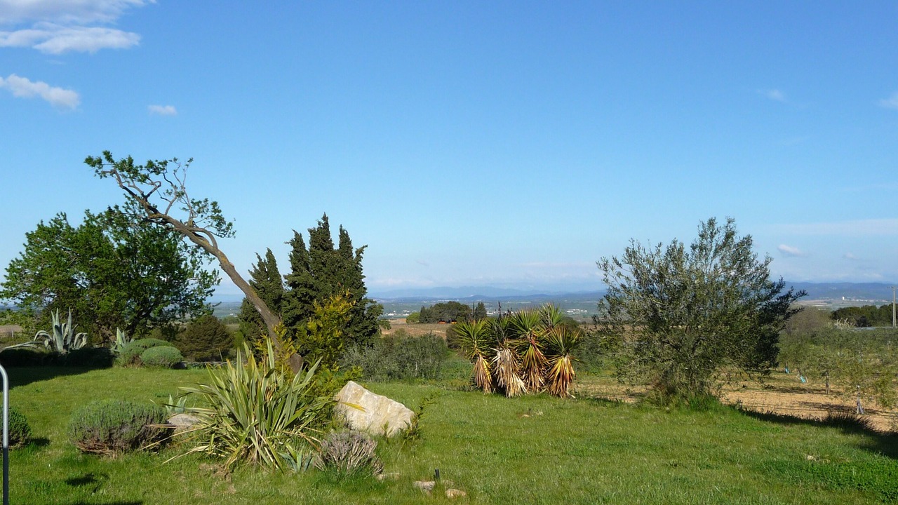 Photo of Others in Montagnac