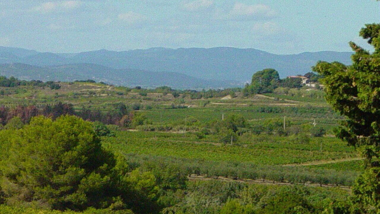 Photo of Others in Montagnac