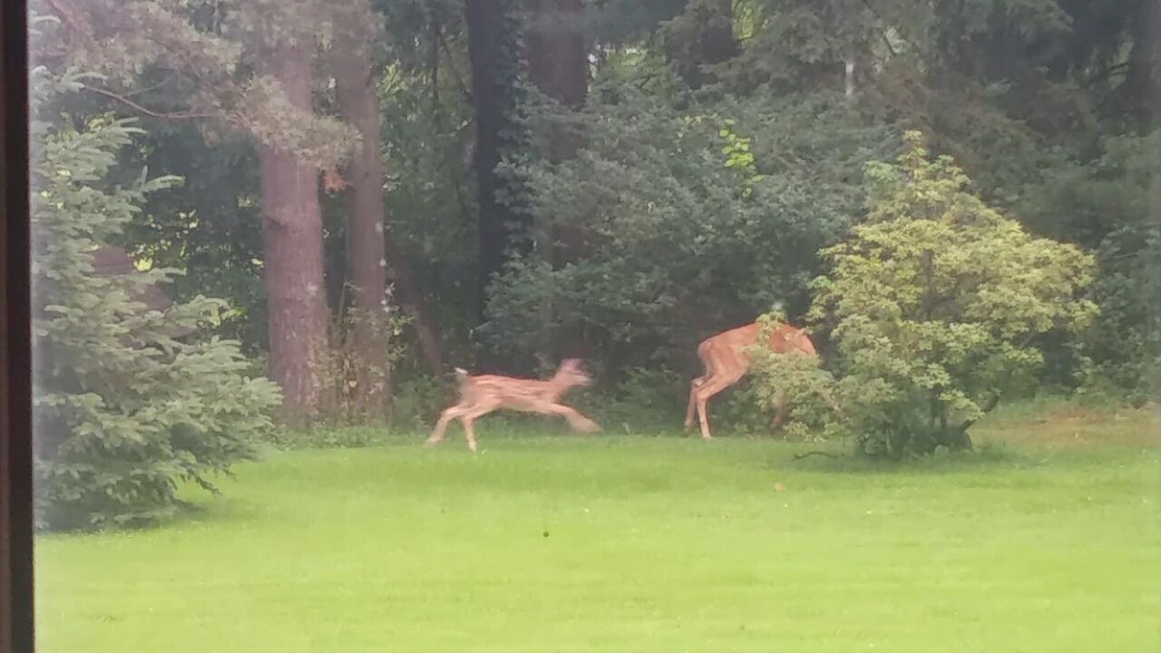 Photo of Others in Webster Crossing