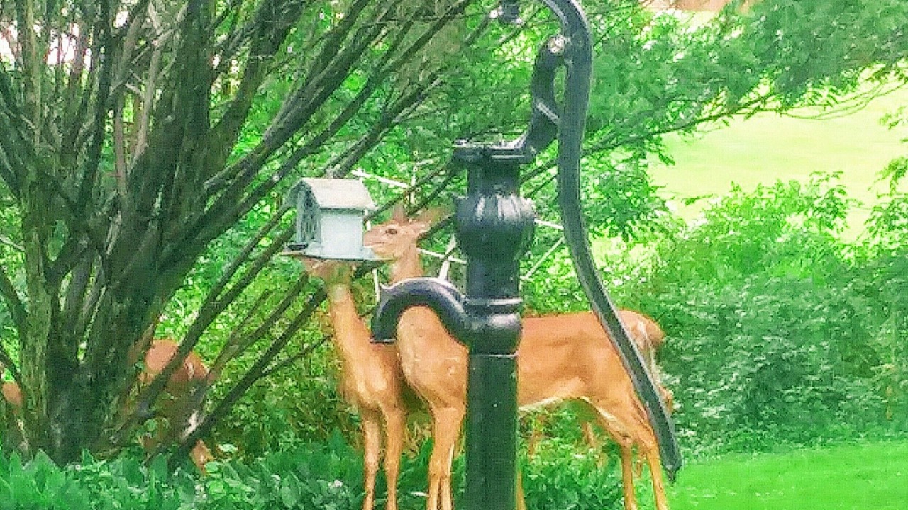 Photo of Others in Webster Crossing
