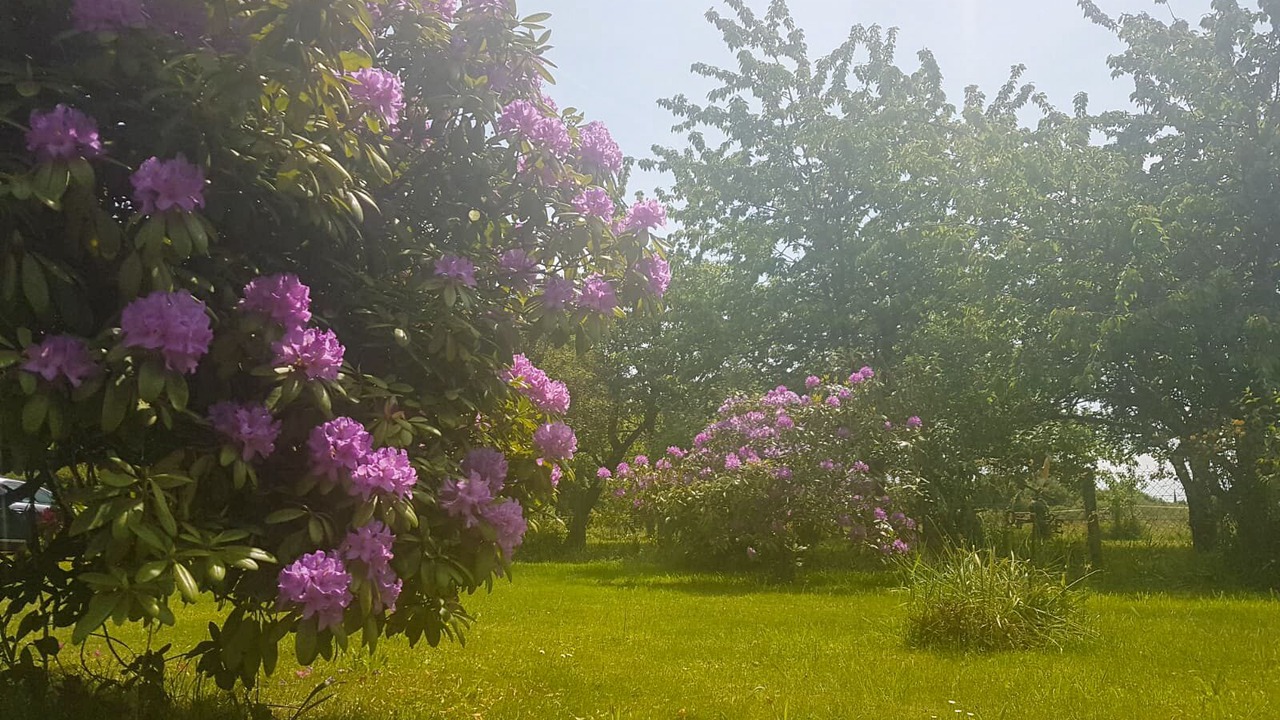 Photo of Outdoor in Quebriac