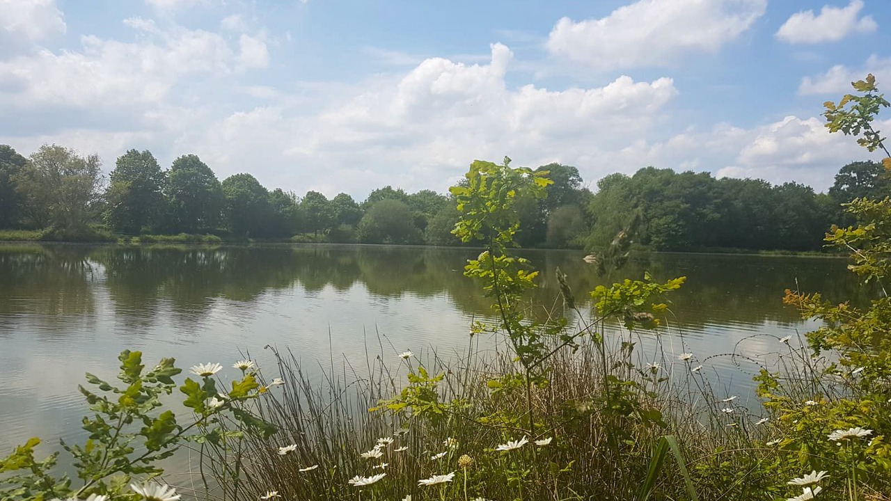 Photo of Outdoor in Quebriac