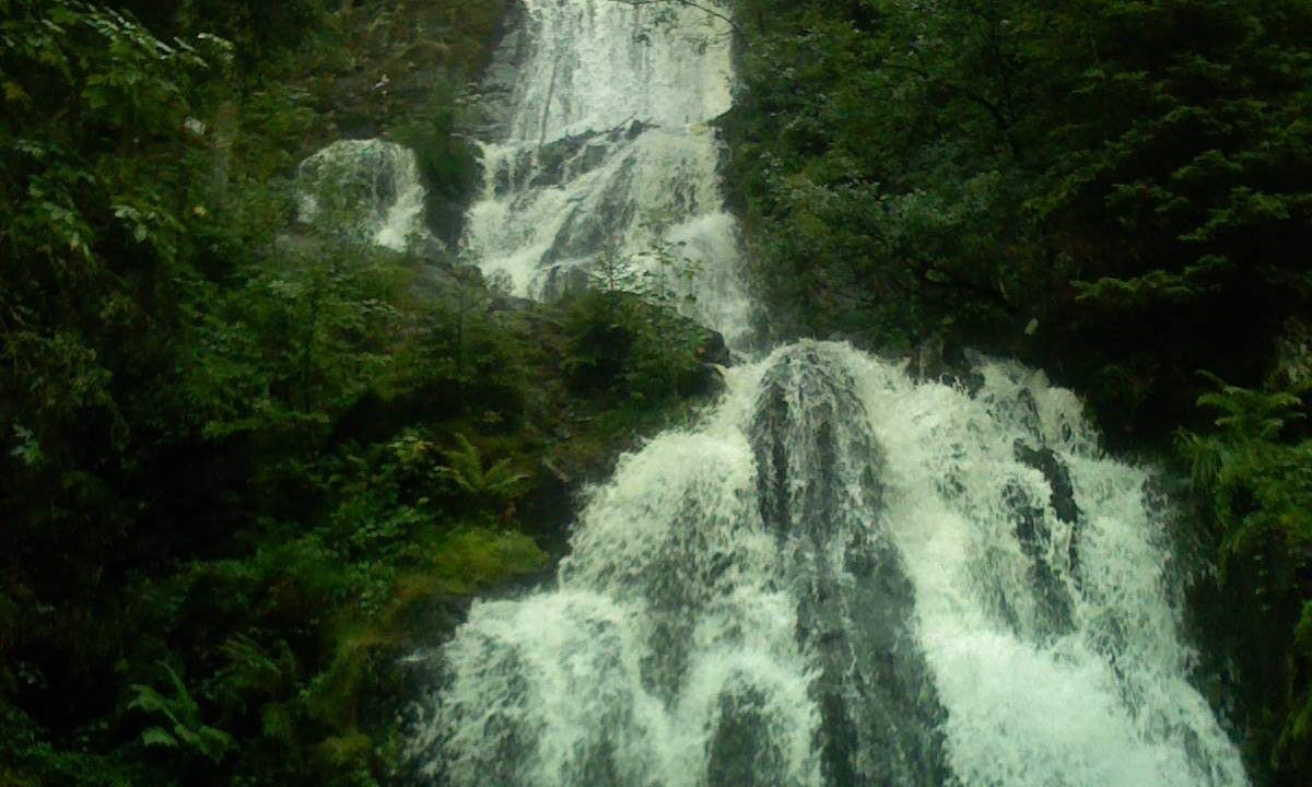 Photo of Others in Fays