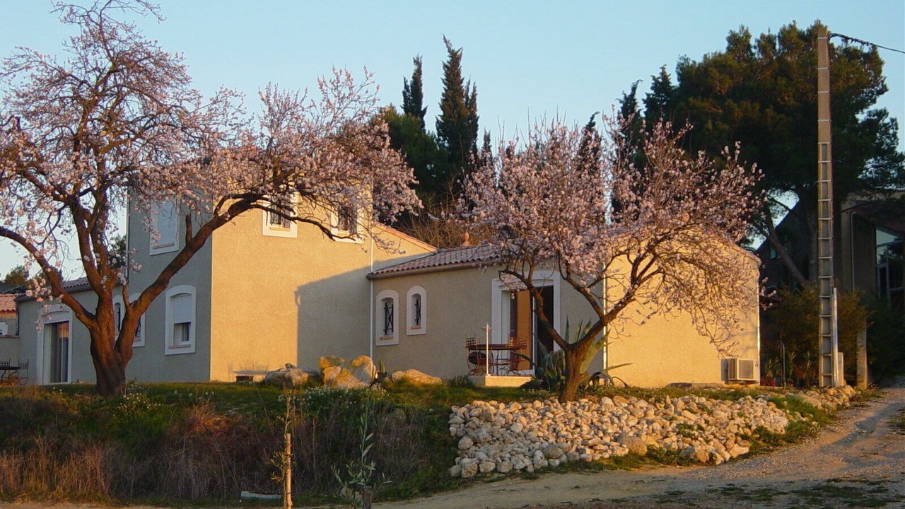 Photo of Outdoor in Montagnac