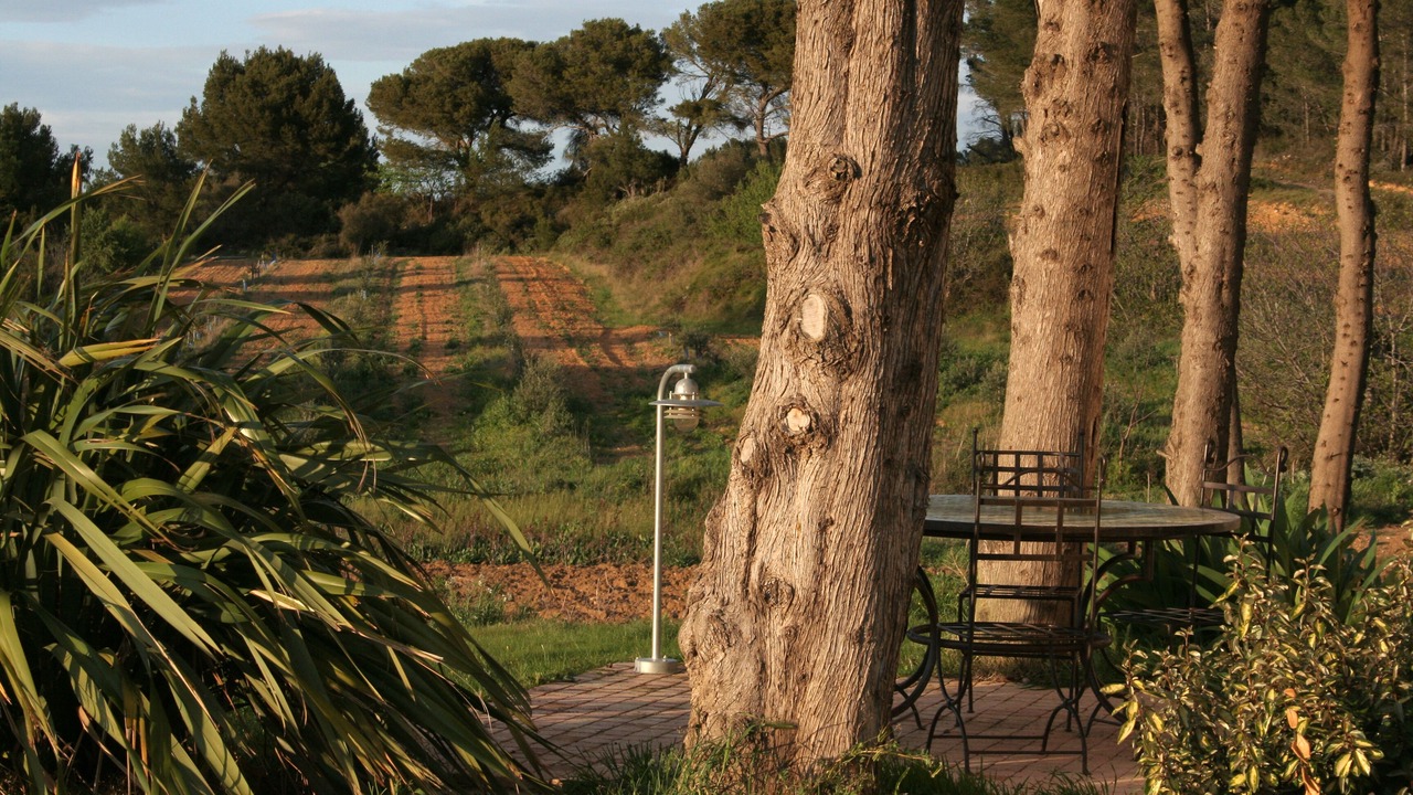 Photo of Outdoor in Montagnac