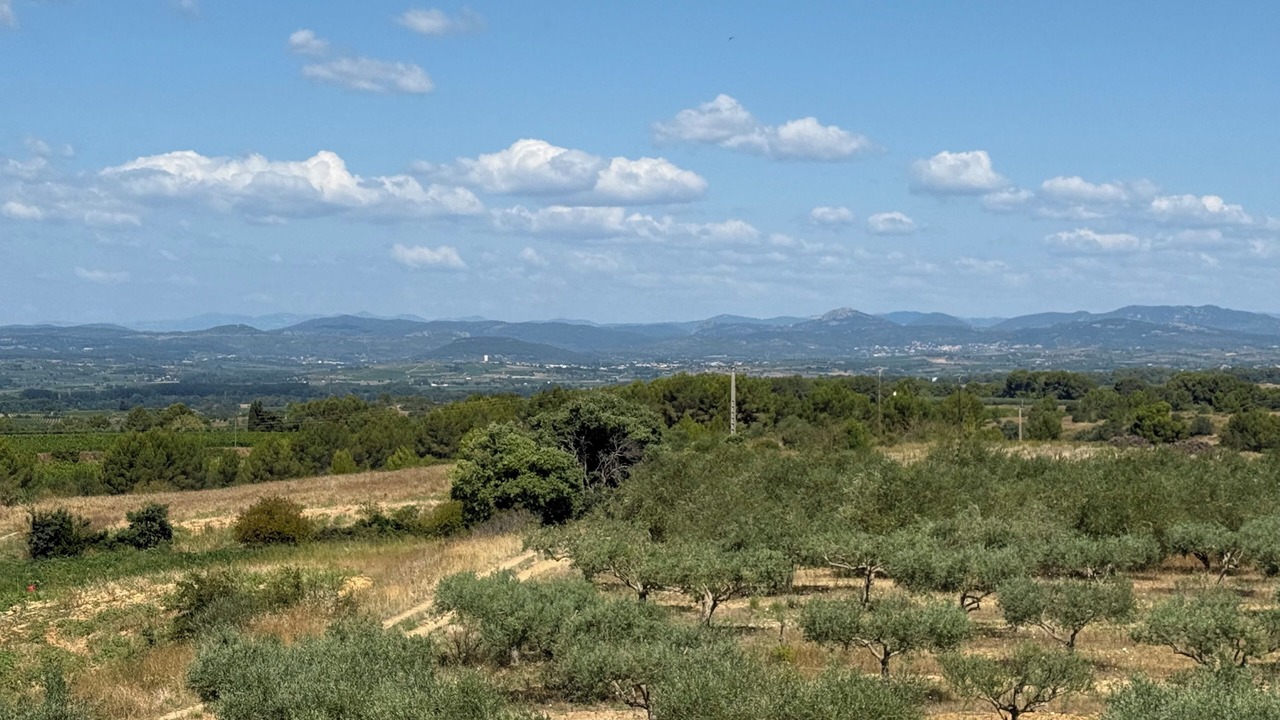 Photo of Others in Montagnac