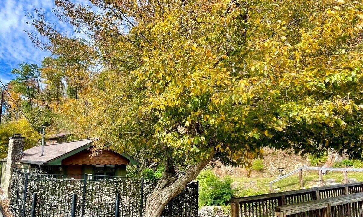 Photo of Outdoor in Gatlinburg