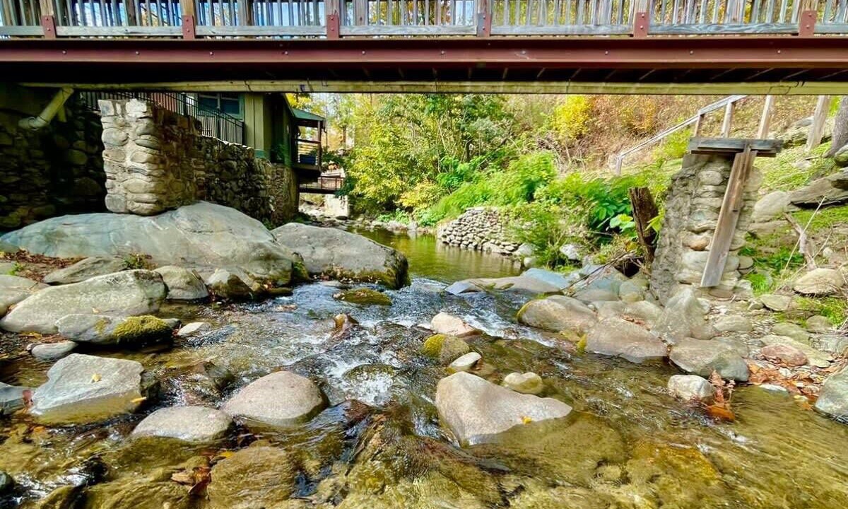 Photo of Outdoor in Gatlinburg