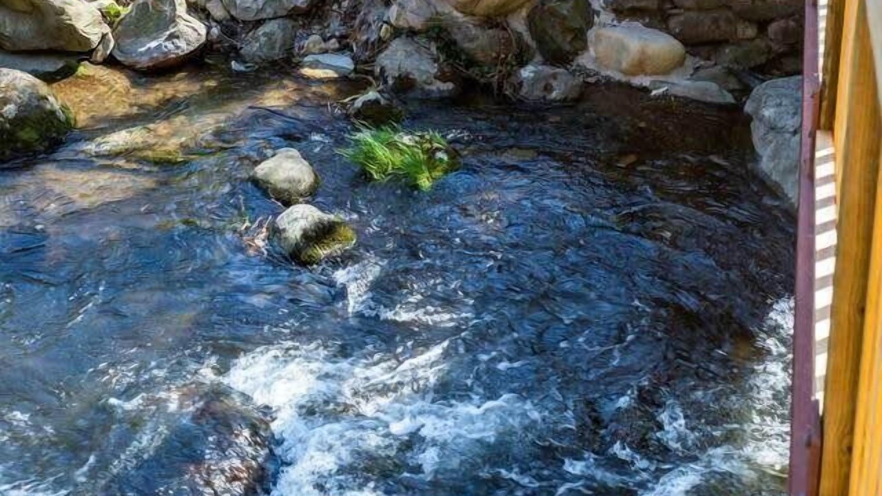 Photo of Others in Gatlinburg
