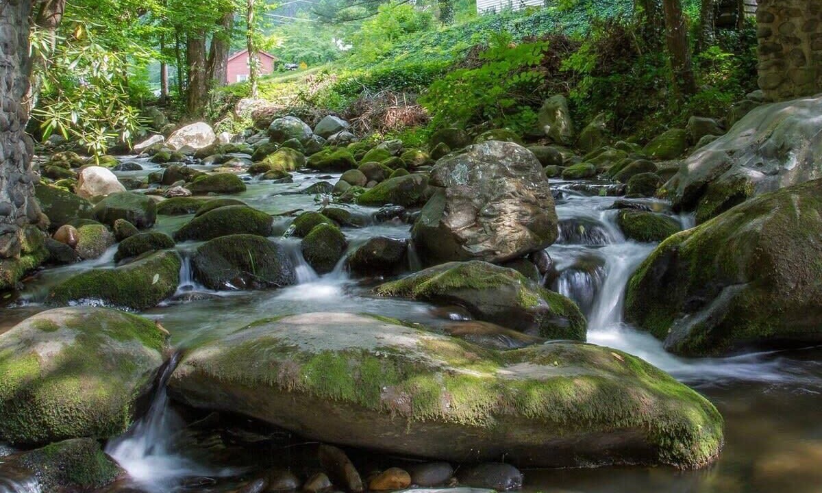 Photo of Others in Gatlinburg