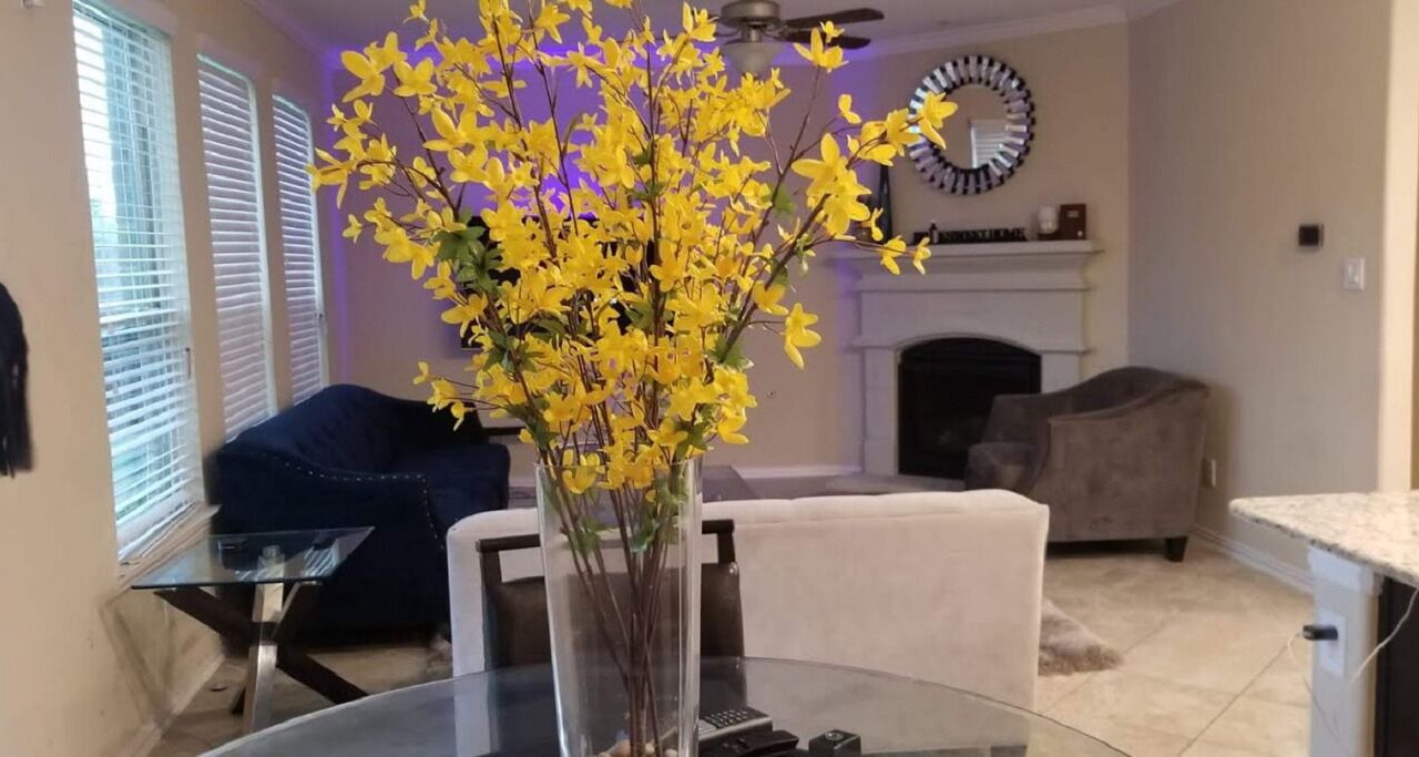 Photo of Livingroom in Spring