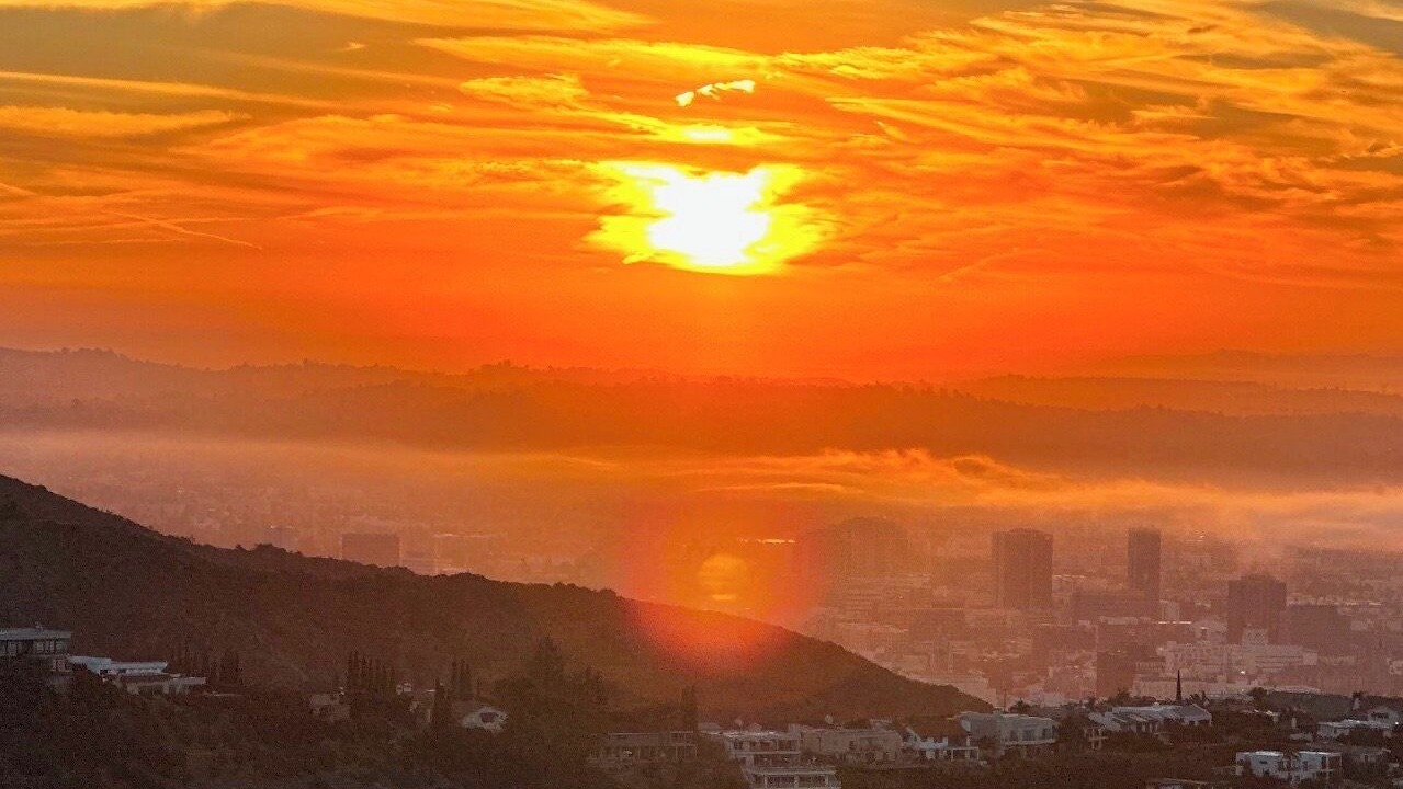 Photo of Others in Hollywood Hills West