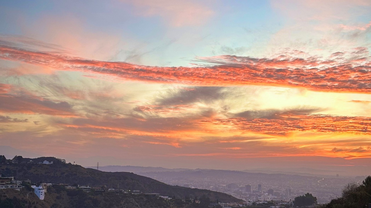 Photo of Others in Hollywood Hills West