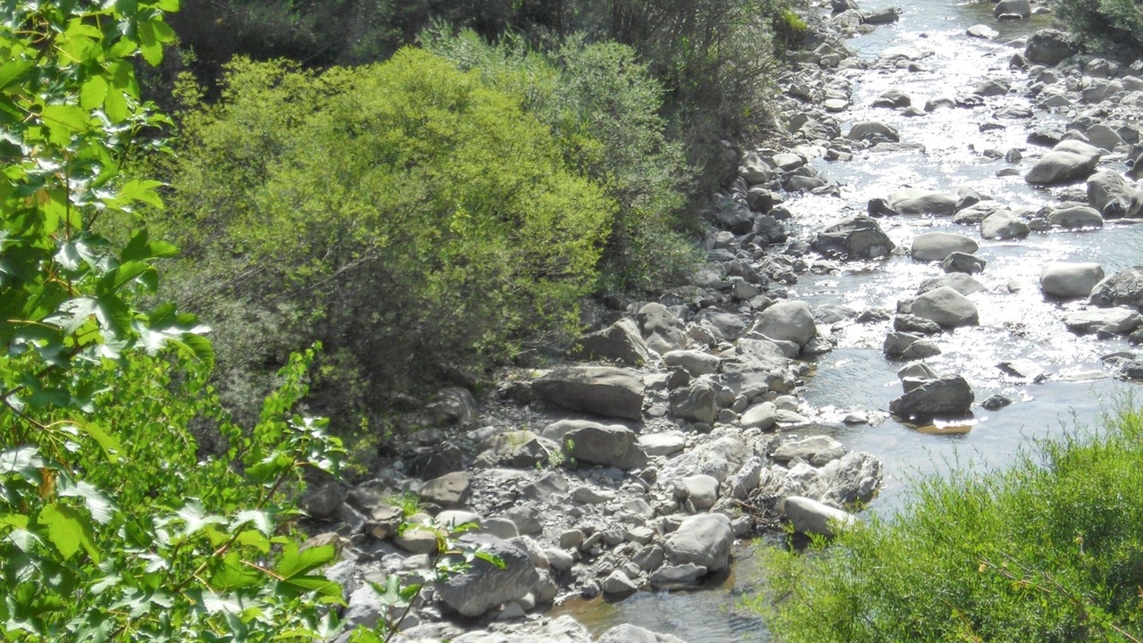 Photo of Outdoor in Allos le Seignus