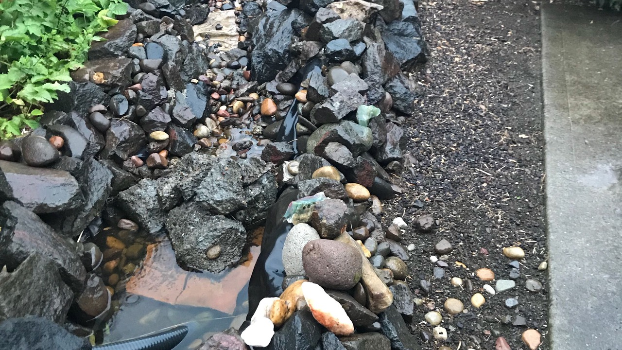 Photo of Outdoor in Vancouver