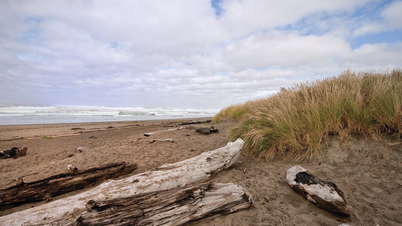 Photo of Others in Ocean Shores