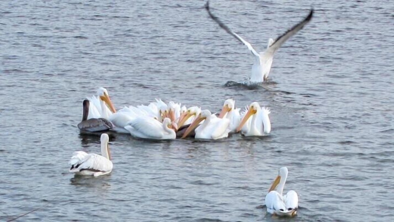 Photo of Others in Onalaska