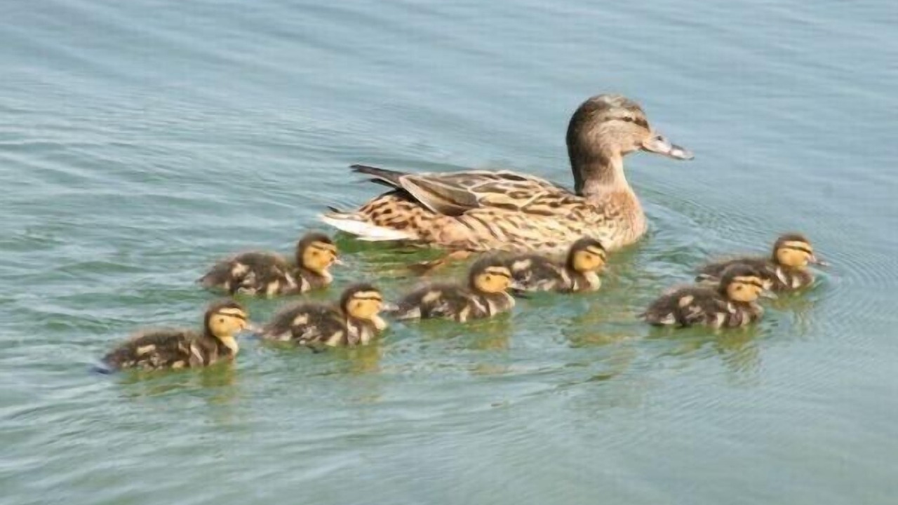 Photo of Others in Onalaska