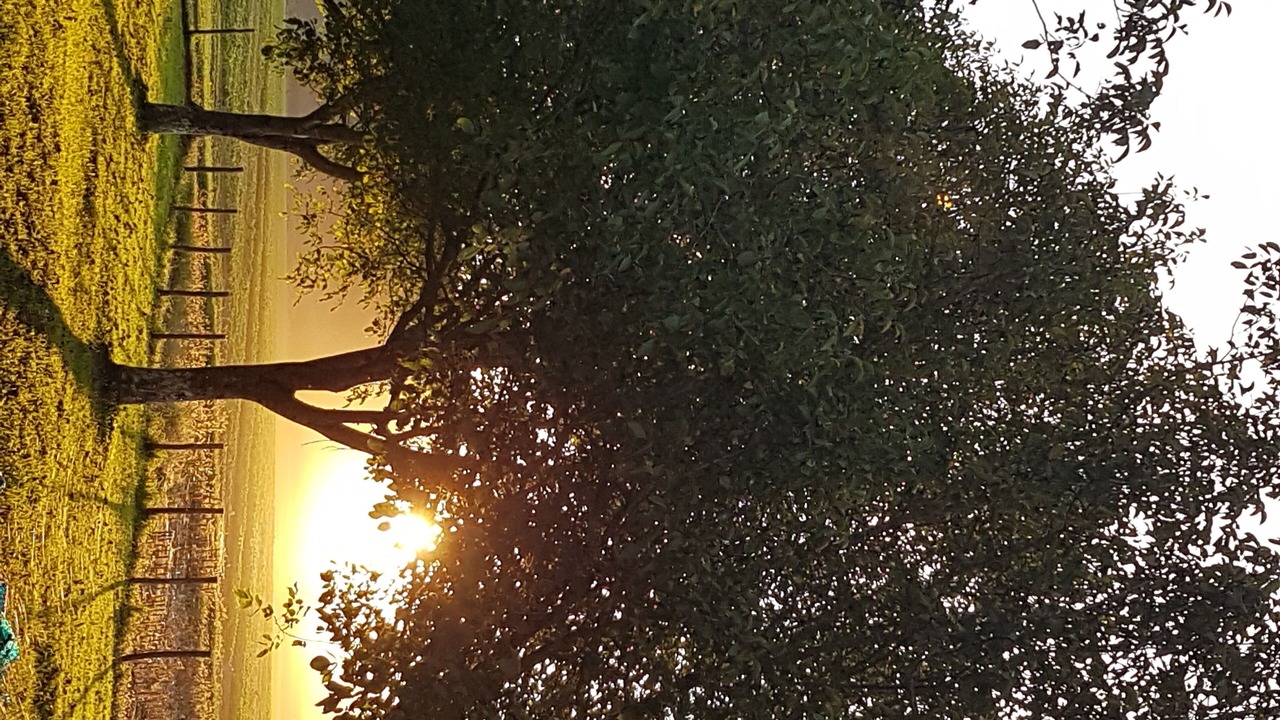 Photo of Others in Bezenac