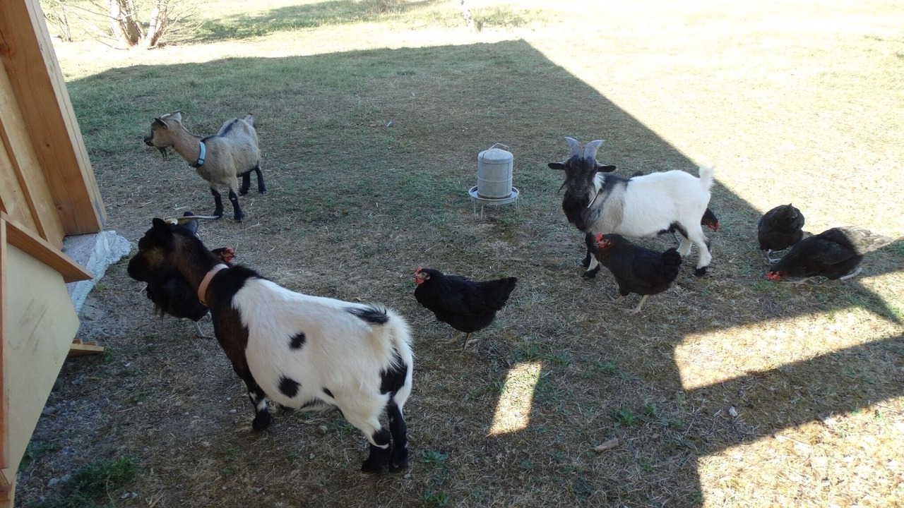 Photo of Others in Rabastens