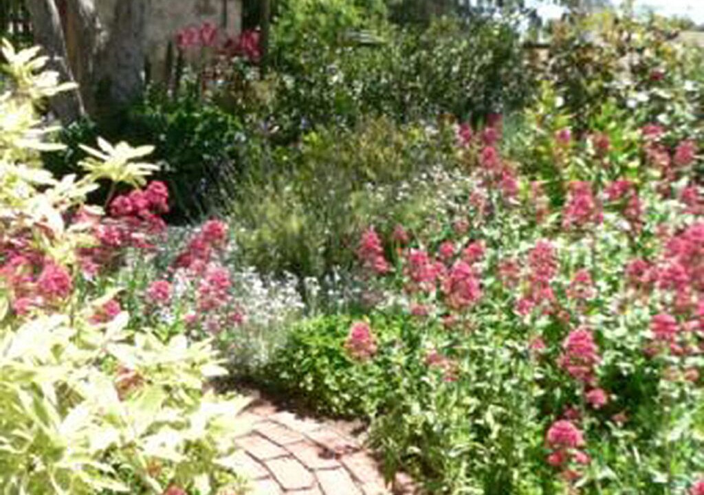 Photo of Outdoor in Angaston